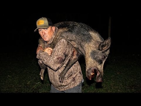 Massive Wild Boar With Traditional 50 Cal Black Powder Catch Clean