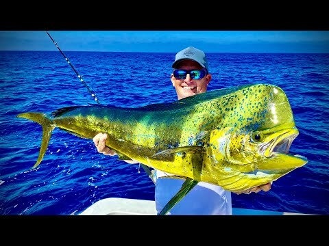 Deep Sea Fishing In Guatemala!!! {teaser Fishing For Massive